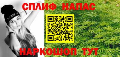 индика Ливны