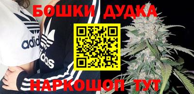 индика Ливны