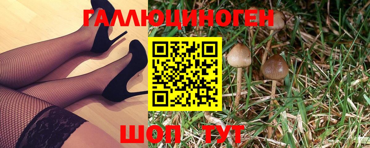 Елабуга  Псилоцибиновые грибы GOLDEN TEACHER  Вход с VPN 